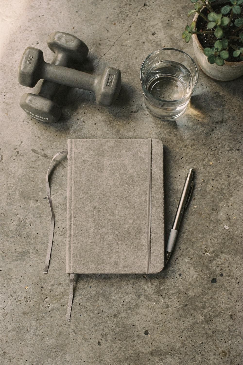 A set of small dumbbells pushed to one side, a journal front and center, a pen, a glass of water, and a small plant. , no faces, no hands